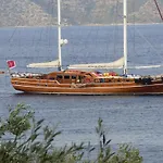 Odyssia Near The Seaside *