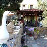 Odyssia Near The Seaside Daire