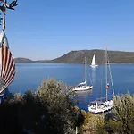 Odyssia Near The Seaside *