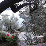 Odyssia Near The Seaside