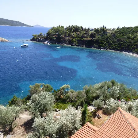 Odyssia Near The Seaside *