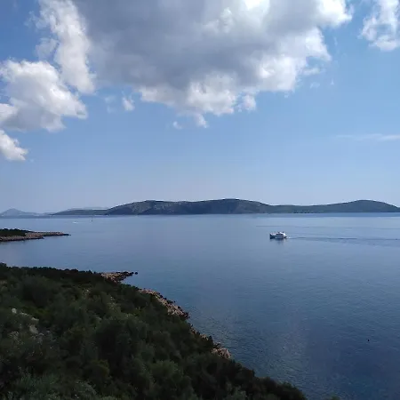 Odyssia Near The Seaside *