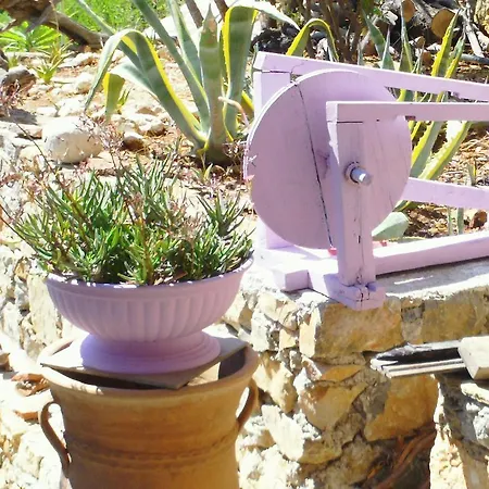 Odyssia Near The Seaside Agios Petros (Alonissos)