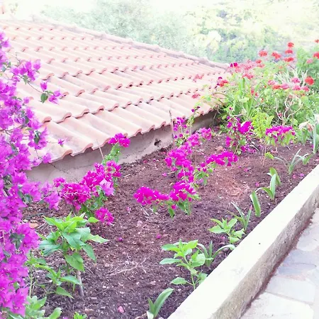 דירה Odyssia Near The Seaside Agios Petros (Alonissos)