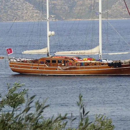 Odyssia Near The Seaside *