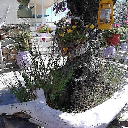 Apartment Odyssia Near The Seaside *