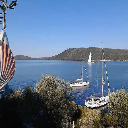 Odyssia Near The Seaside *