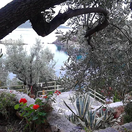 Odyssia Near The Seaside