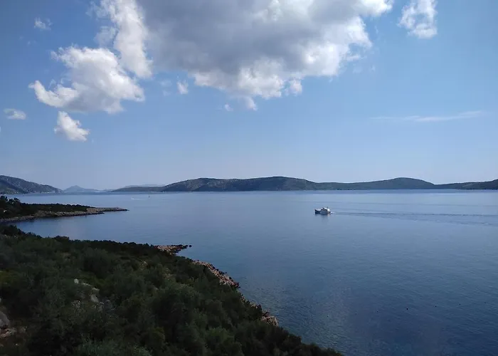 Odyssia Near The Seaside *