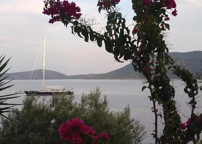 Odyssia Near The Seaside