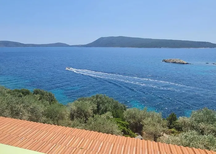 Odyssia Near The Seaside شقة أغيوس بطرس ألونيسوس