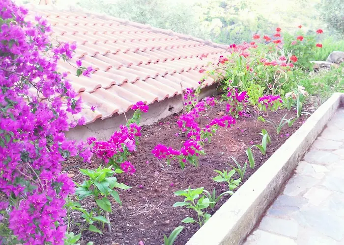 شقة Odyssia Near The Seaside أغيوس بطرس ألونيسوس