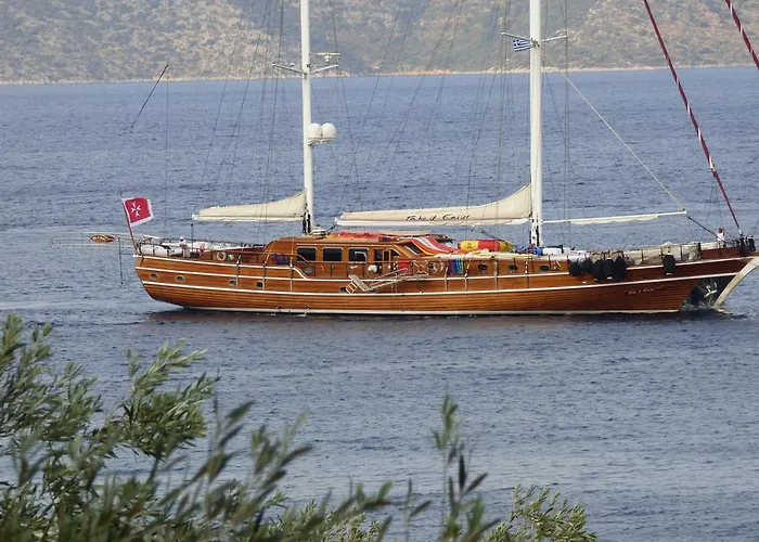 Odyssia Near The Seaside *