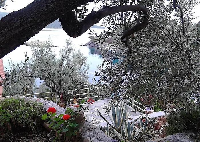 Odyssia Near The Seaside