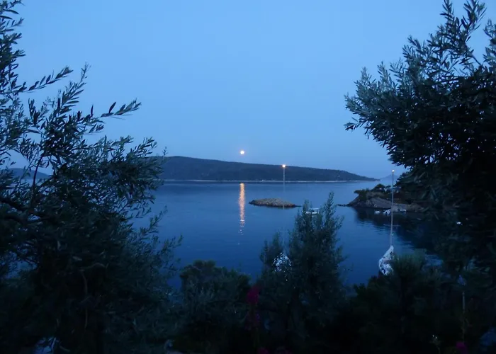 Odyssia Near The Seaside *